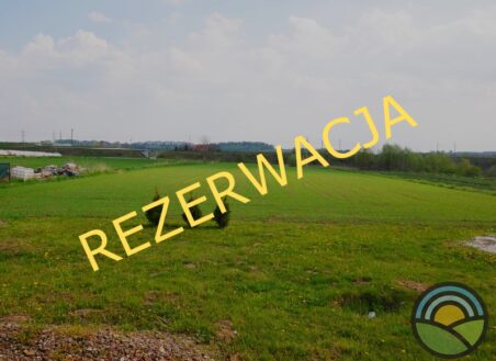 Działka rolna Raciborowice 30ar